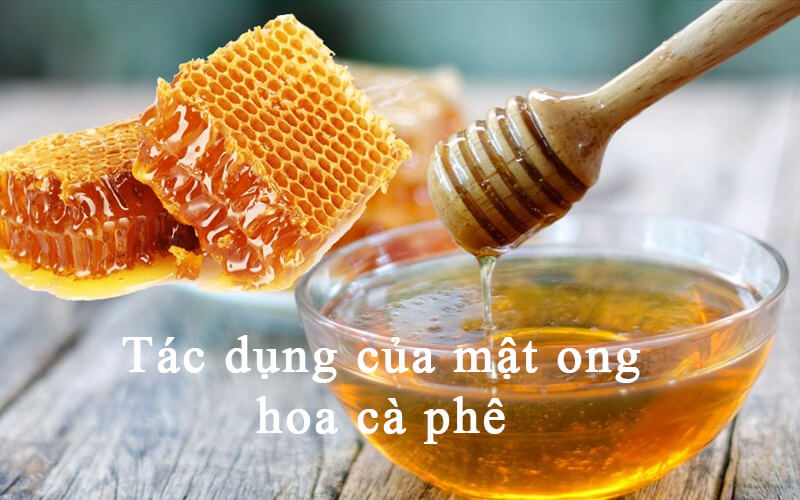Tác dụng của mật ong hoa cà phê