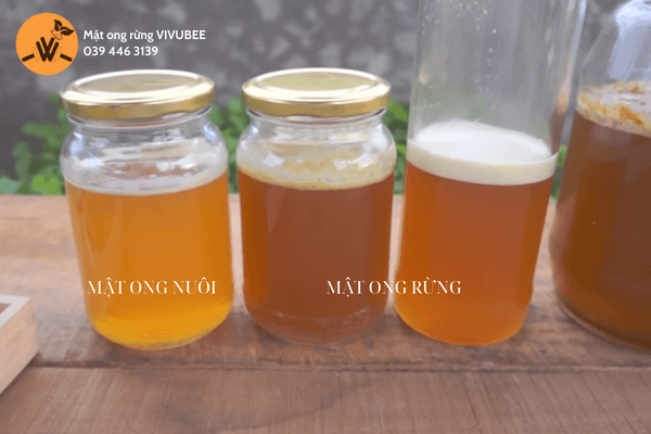 Cách phân biệt mật ong rừng và mật ong nuôi
