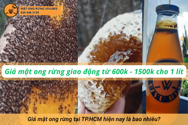 Giá mật ong rừng tại TP.HCM bao nhiêu? Nơi bán 300k, nơi hơn 1 triệu/lít? Giá mật ong rừng nguyên chất tại HCM