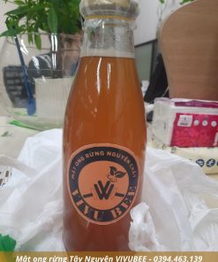 1 Lít mật ong rừng Gia Lai Tây Nguyên tự nhiên miền núi tại TP.HCM Mật ong rừng Gia Lai Tây Nguyên