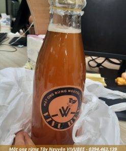 1 Lít mật ong rừng Gia Lai Tây Nguyên tự nhiên miền núi tại TP.HCM Mật ong rừng Gia Lai Tây Nguyên