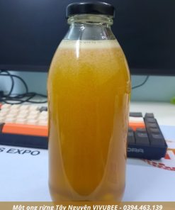 Mật ong rừng Gia Lai Tây Nguyên