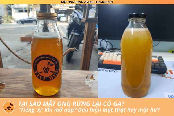 Tại sao mật ong rừng lại có ga? Tiếng "Xì" là mật thật hay giả? Tại sao mật ong rừng lại có ga? Tiếng "Xì" là mật thật hay giả?